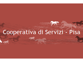 Logo Cooperativa Di Servizi Sergiana