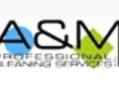A&M PROFESSIONAL CLEANING SERVICES