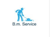 Logo B.m. Service
