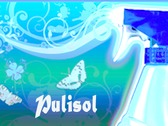 PULISOL