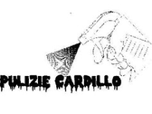 Logo Pulizie Cardillo