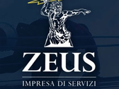 Logo Zeusservizi