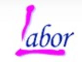 LABOR PACKING SERVICE