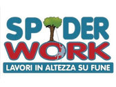 Spider Work Di Ranieri Gianni