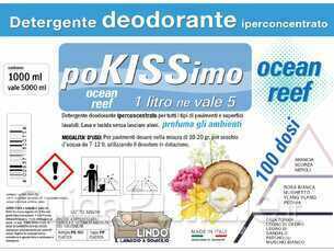 OMAGGIO SU TUTTI I LAVORI DETERGENTE CONCENTRATO PER PAVIMENTI