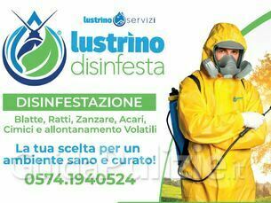Disinfestazione Blatte, Ratti, Zanzare, Acari, Cimici.....