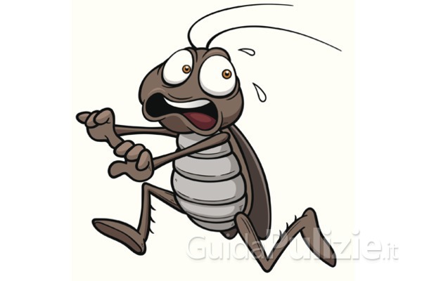 Ci sono scarafaggi nella mia casa. Che faccio?
