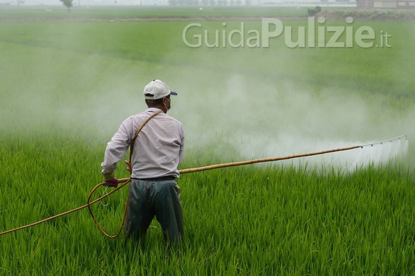 La differenza tra erbicidi, pesticidi e insetticidi