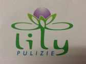 Lily Pulizie Cooperativa