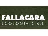 Fallacara Ecologia