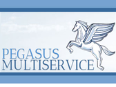 Logo Pegasus Multiservice