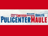 Pulicenter Maule