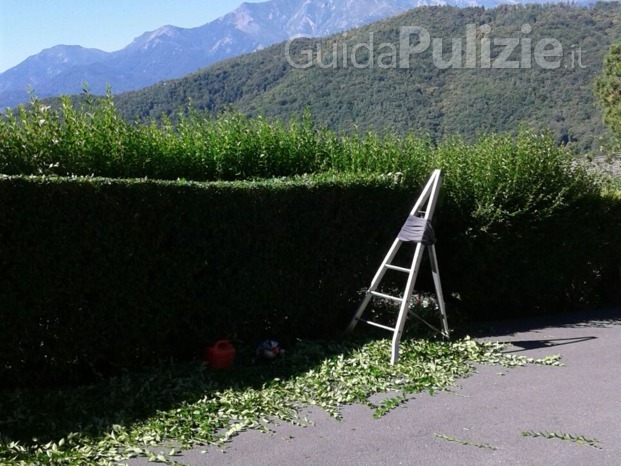 Costruzione e manutenzione aree verdi di Giai Checa