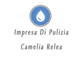 Impresa Di Pulizia Camelia Relea