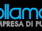 Collamati S.A.S di Giampieri Mirko & C.