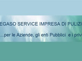 Pegaso Service