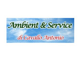 Ambient & Service