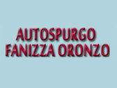 Autospurgo Fanizza