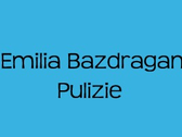 Emilia Bazdragan - Pulizie