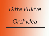 Ditta Pulizie Orchidea
