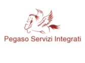 Pegaso Servizi Integrati