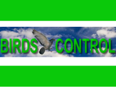 Birds Control