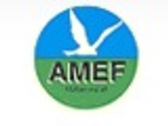 AMEF MULTISERVICE srl