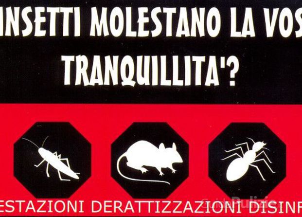 disinfestazione derattizazione