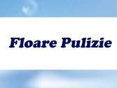 Floare Pulizie