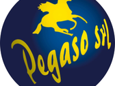 Logo Pegaso Srl