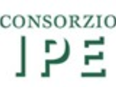 CONSORZIO IPE