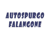 Autospurgo Falangone Ivano