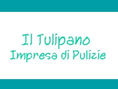 Il Tulipano Impresa Di Pulizie