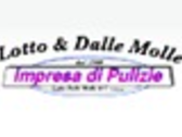 LOTTO C. & DALLE MOLLE