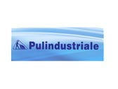 Pulindustriale