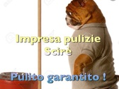 Logo Impresa pulizie Scirè