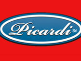 Picardi Srl