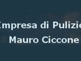 Impresa Di Pulizie Mauro Ciccone