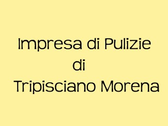 Logo Impresa Di Pulizie Di Tripisciano Morena