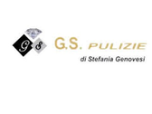 G.s. Pulizie