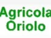 AGRICOLA ORIOLO