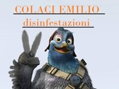 Colaci Emilio Disinfestazioni