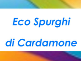 Eco Spurghi Di Cardamone