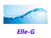 Logo Elle-G SERVICE