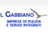 Il Gabbiano