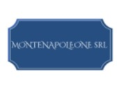 MONTENAPOLEONE srl TAPPETI PERSIANI & ORIENTALI