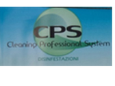 Cleaning Professional Sistem