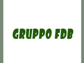 Gruppo fdb