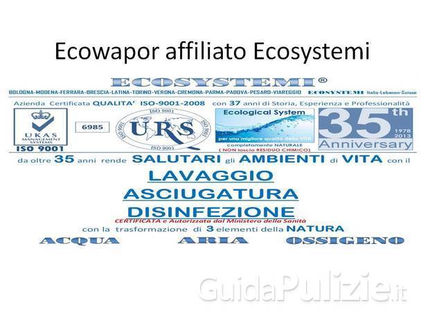 Ecowapor affiliato Ecosystemi.jpg