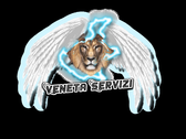 VENETA SERVIZI s.a.s.